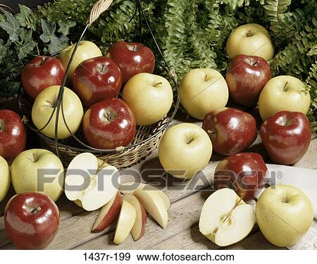 fruit, basket, apples, food, still life, Fruit food View Large Photo Image Stock Photo - fruit, basket, apples, food, still life, Fruit food. Fotosearch