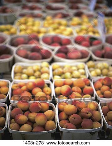 fruit, pieces, market, food, still life, wares View Large Photo Image Stock Photo - fruit, pieces, market, food, still life, wares. Fotosearch