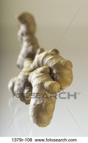 Ginger View Large Photo Image Stock Photo - Ginger. Fotosearch