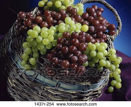 Grapes View Large Photo Image Picture - Grapes. Fotosearch