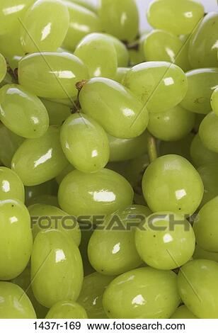 Grapes View Large Photo Image Stock Photo - Grapes. Fotosearch