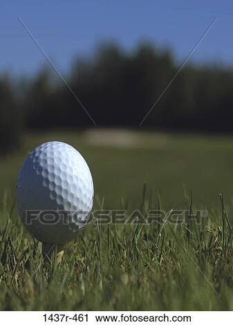Stock Image - grass, golf, ball, equipment, sports, square, sports equipment. Fotosearch