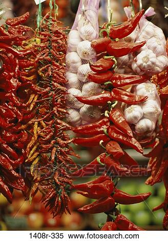 hanging, garlic, peppers, market, store, food View Large Photo Image Stock Photography - hanging, garlic, peppers, market, store, food. Fotosearch