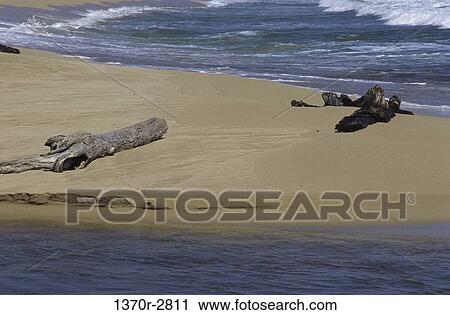 Stock Image - Kauai, Hawaii, USA. Fotosearch