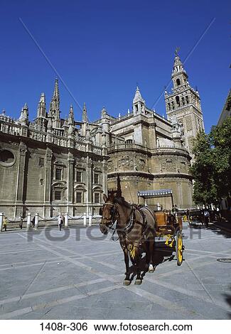 La Giralda, Seville, Spain View Large Photo Image Stock Photograph - La Giralda, Seville, Spain. Fotosearch