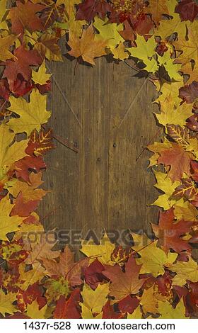 Stock Photo - leaves, autumn, background, still life, frame, wood. Fotosearch