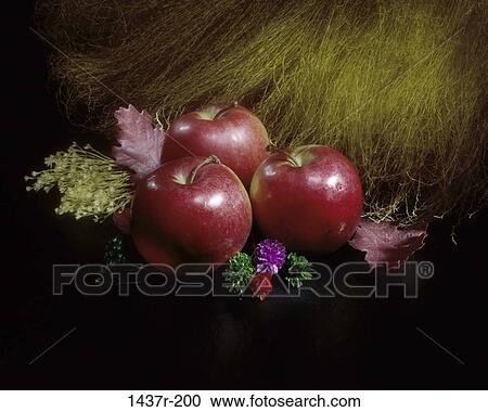 Stock Image - leaves, fruit, flowers, apples, food, still life. Fotosearch