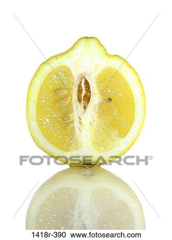 Lemon View Large Photo Image Stock Image - Lemon. Fotosearch