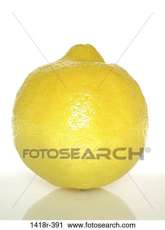 Lemon View Large Photo Image Stock Image - Lemon. Fotosearch