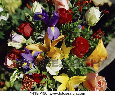, lilies, flowers, flower, nature, floral, arrangement View Large Photo Image Stock Photograph - , lilies, flowers, flower, nature, floral, arrangement. Fotosearch