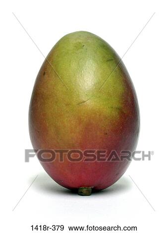 Stock Photo - Mango. Fotosearch