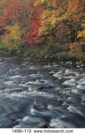 Mohawk Trail State Forest, Massachusetts, USA View Large Photo Image Stock Image - Mohawk Trail State Forest, Massachusetts, USA. Fotosearch