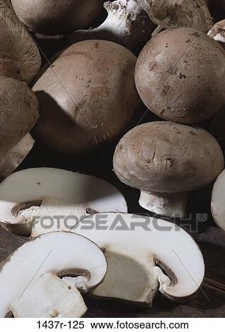 mushrooms, food, still life, vegetable, Vegetables food View Large Photo Image Stock Photography - mushrooms, food, still life, vegetable, Vegetables food. Fotosearch