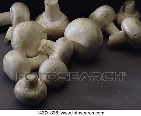 Mushrooms View Large Photo Image Stock Photograph - Mushrooms. Fotosearch