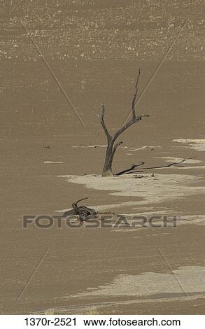 Namib Desert, Namibia View Large Photo Image Stock Image - Namib Desert, Namibia. Fotosearch