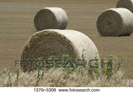 Stock Photograph - Oklahoma, USA. Fotosearch
