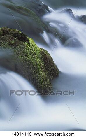 Olympic National Park, Washington, USA View Large Photo Image Stock Image - Olympic National Park, Washington, USA. Fotosearch