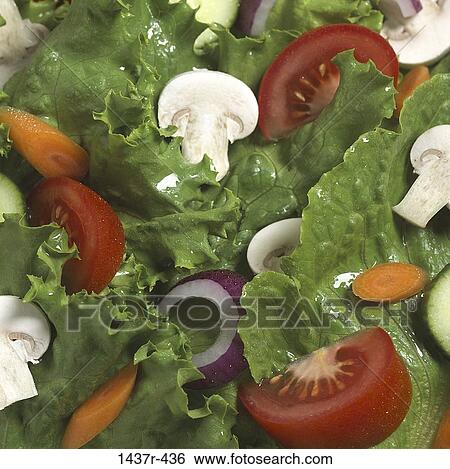 , overhead, mushrooms, raw, salad, sliced, vegetables View Large Photo Image Stock Photograph - , overhead, mushrooms, raw, salad, sliced, vegetables. Fotosearch