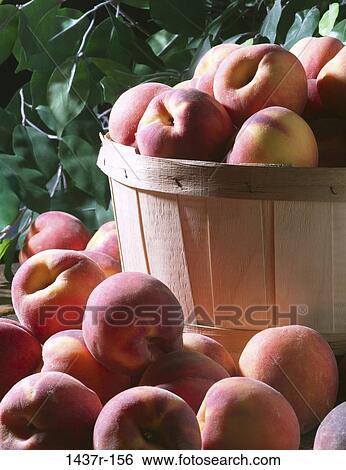 Peaches View Large Photo Image Stock Photograph - Peaches. Fotosearch