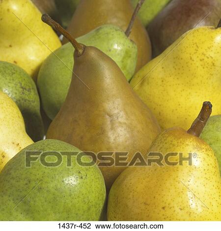 Pears View Large Photo Image Stock Image - Pears. Fotosearch