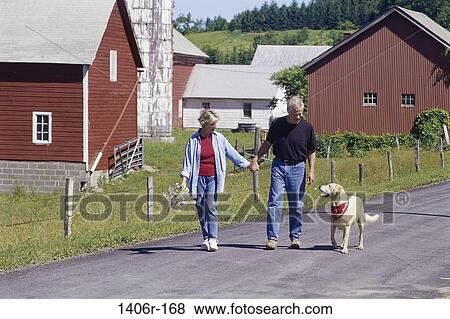 people, hands, walking, dog, couple, pet View Large Photo Image Stock Photo - people, hands, walking, dog, couple, pet. Fotosearch