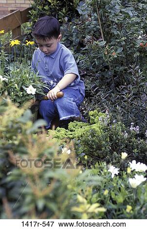 people, plants, gardening, boy, outdoors, garden, child View Large Photo Image Stock Photo - people, plants, gardening, boy, outdoors, garden, child. Fotosearch