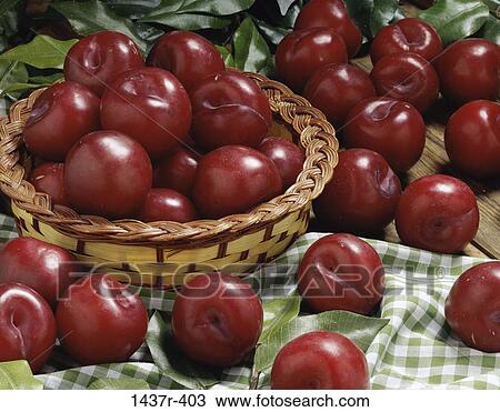 Plums View Large Photo Image Stock Image - Plums. Fotosearch