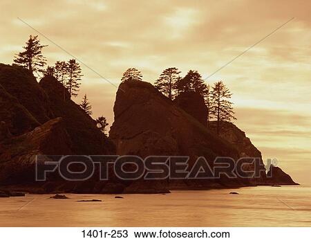 Point of Arches, Olympic National Park, Washington, USA View Large Photo Image Stock Image - Point of Arches, Olympic National Park, Washington, USA. Fotosearch