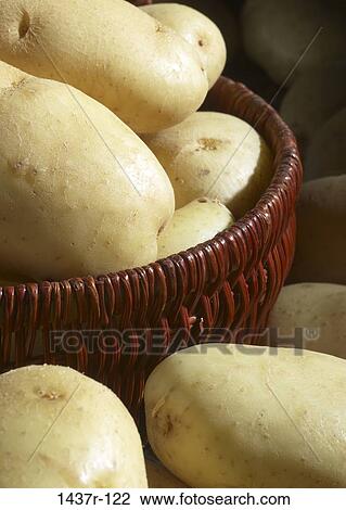 Potatoes View Large Photo Image Stock Image - Potatoes. Fotosearch