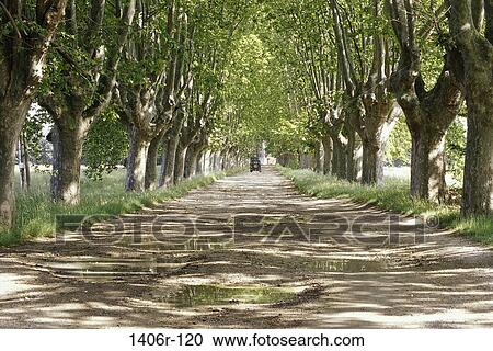 Provence, France View Large Photo Image Stock Image - Provence, France. Fotosearch