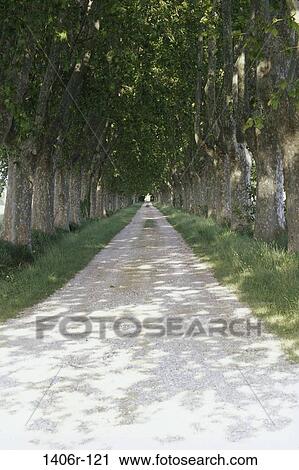 Provence, France View Large Photo Image Stock Image - Provence, France. Fotosearch