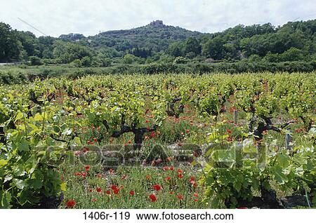 Provence, France View Large Photo Image Stock Photo - Provence, France. Fotosearch
