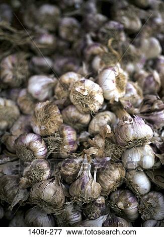 raw, garlic, spice, food, still life, similar View Large Photo Image Stock Photo - raw, garlic, spice, food, still life, similar. Fotosearch
