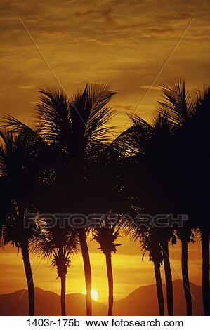 Rio de Janeiro, Brazil View Large Photo Image Stock Image - Rio de Janeiro, Brazil. Fotosearch