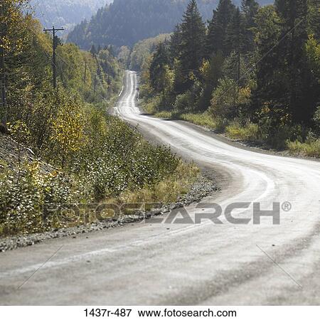 road, rural, empty, dirt, trees, nature, path View Large Photo Image Stock Photo - road, rural, empty, dirt, trees, nature, path. Fotosearch