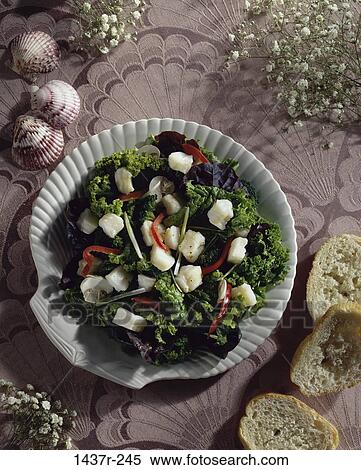 salad, bread, vegetables, food, still life, shells View Large Photo Image Stock Photography - salad, bread, vegetables, food, still life, shells. Fotosearch