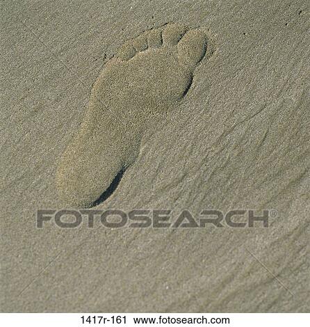 sand, beach, print, still life, footprint, imprint, Beach stills View Large Photo Image Stock Image - sand, beach, print, still life, footprint, imprint, Beach stills. Fotosearch