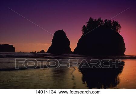 Second Beach, Washington, USA View Large Photo Image Picture - Second Beach, Washington, USA. Fotosearch