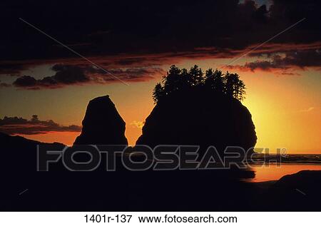 Second Beach, Washington, USA View Large Photo Image Stock Photo - Second Beach, Washington, USA. Fotosearch