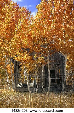 Shepherd's Cabin, California, USA View Large Photo Image Stock Image - Shepherd's Cabin, California, USA. Fotosearch