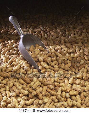 snack, food, still life, scoop, peanuts, Snack various View Large Photo Image Stock Photo - snack, food, still life, scoop, peanuts, Snack various. Fotosearch