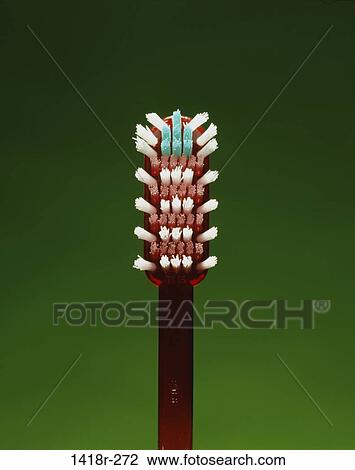 still life, toothbrush, hygiene, housewares, dental, bristles View Large Photo Image Stock Image - still life, toothbrush, hygiene, housewares, dental, bristles. Fotosearch