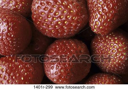 Strawberries View Large Photo Image Stock Photo - Strawberries. Fotosearch