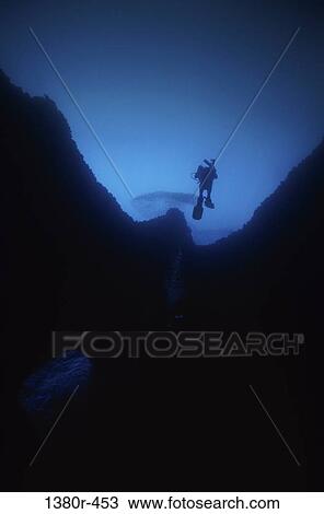 swimming, silhouette, adventurous, scuba, underwater, scuba diving View Large Photo Image Stock Image - swimming, silhouette, adventurous, scuba, underwater, scuba diving. Fotosearch