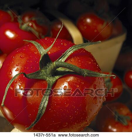 Tomatoes View Large Photo Image Stock Image - Tomatoes. Fotosearch