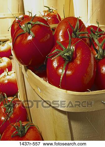 Stock Photo - Tomatoes. Fotosearch