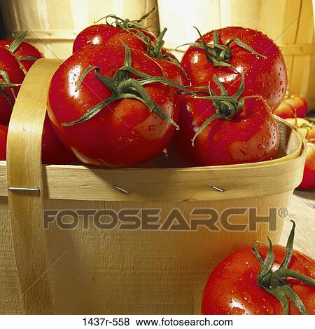 Tomatoes View Large Photo Image Stock Photo - Tomatoes. Fotosearch