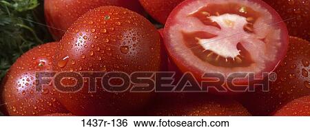 Tomatoes View Large Photo Image Stock Photograph - Tomatoes. Fotosearch