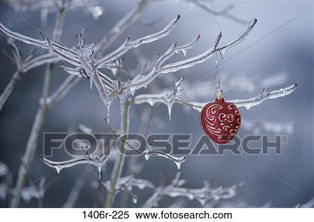 tree, hanging, ice, Christmas, cold, ornament View Large Photo Image Stock Photography - tree, hanging, ice, Christmas, cold, ornament. Fotosearch