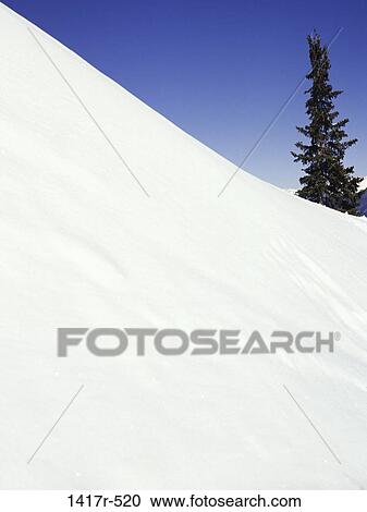 Stock Image - tree, snow, winter, snowy, hill, nature, hillside. Fotosearch